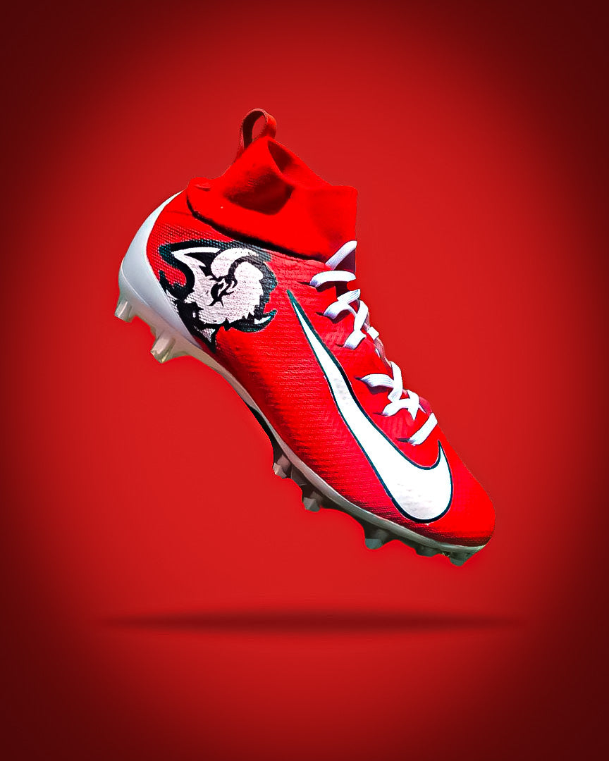 Team Personal Custom Cleats/Shoes
